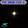 TYC 3010-713-1