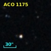 ACO  1175