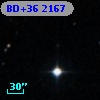 BD+36  2167