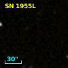 SN 1955L