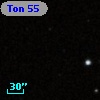Ton  55