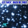 Cl* NGC  869      W     307
