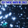 Cl* NGC  869      W     262