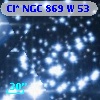 Cl* NGC  869      W      53