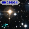 HD 236974