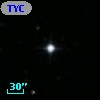 TYC 1981-1211-1