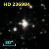 HD 236984