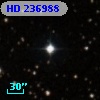 HD 236988