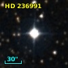HD 236991