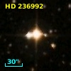 HD 236992