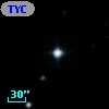 TYC 1981-2442-1