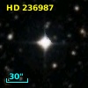 HD 236987