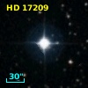 HD  17209