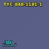 TYC  848-1181-1