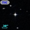 TYC  262-455-1