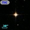 TYC  262-499-1