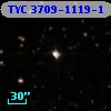 TYC 3709-1119-1