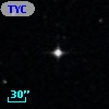 TYC  262-883-1