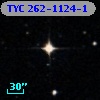 TYC  262-1124-1