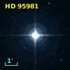HD  95981