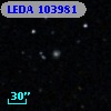LEDA  103981