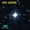 HD  19205