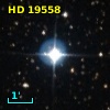 HD  19558