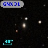 GNX  31