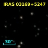IRAS 03169+5247