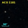 ACO  1181