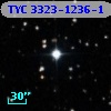 TYC 3323-1236-1