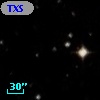 TXS 1101-335