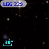 LGG 229