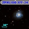 [TP95] ESO 377-24 31
