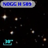 NOGG H  509