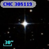 CMC  308119