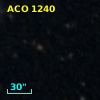 ACO  1240