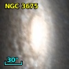 NVSS J112608+433512