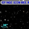 Cl* NGC 1220    OCC      91