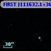 FIRST J111632.1+364509