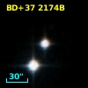 BD+37  2174B