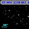 Cl* NGC 1220    OCC     159