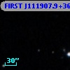 FIRST J111907.9+365318