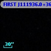 FIRST J111936.0+365327
