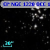 Cl* NGC 1220    OCC     172