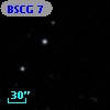 BSCG  7