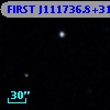 FIRST J111736.8+310533