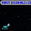 FIRST J111646.2+291538