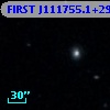 FIRST J111755.1+291816