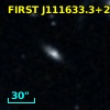 2MASX J11163321+2918436